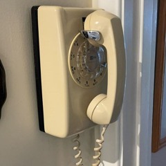 llama llama llama (prod. yvkie)