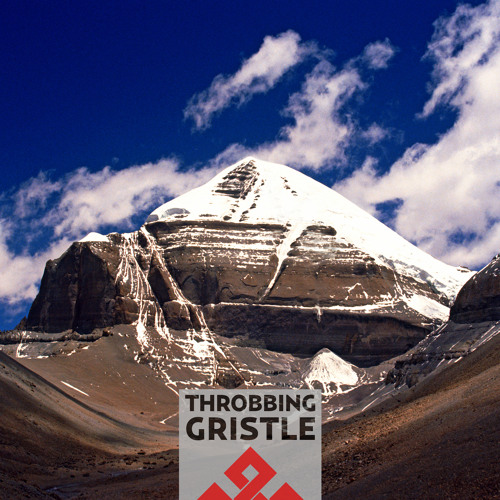 Stream Greasy Spoon by Throbbing Gristle | Listen online for free