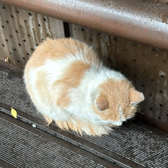 Татьяна Казючиц - Хеллоу