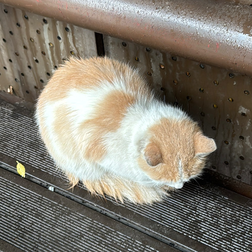 Татьяна Казючиц - Хеллоу