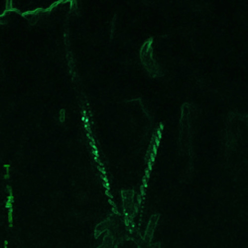 Lilfye HoodTrap type - we don’t do even talk if’s him talk 223 got back .m4a