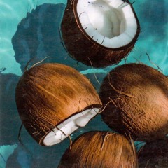Coconut [Internal Excursion 3 Pre-Save in Bio]