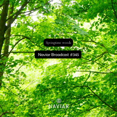 Naviar Broadcast #345 - Springtime woods – Wednesday 13th November 2024