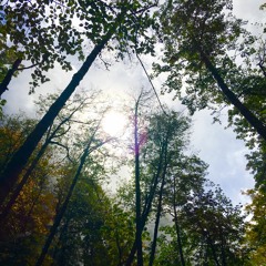 Hike With Susan