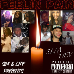 FEELIN PAIN- SLM DEV