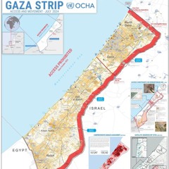 Lawyer analyses ICJ ruling on Occupied Palestine