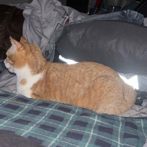 ayeahayeah prod unji (freestyle).wav