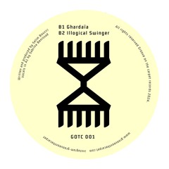 Premiere: B2 - Wave Particle Singularity - Illogical Swinger [GOTC001]