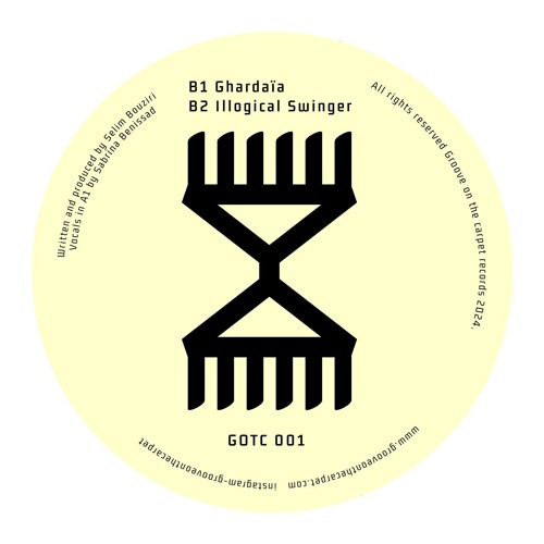 Premiere: B2 - Wave Particle Singularity - Illogical Swinger [GOTC001]