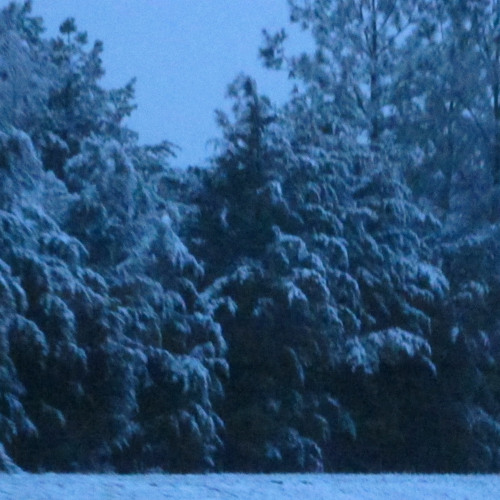 Overwhelming Blue