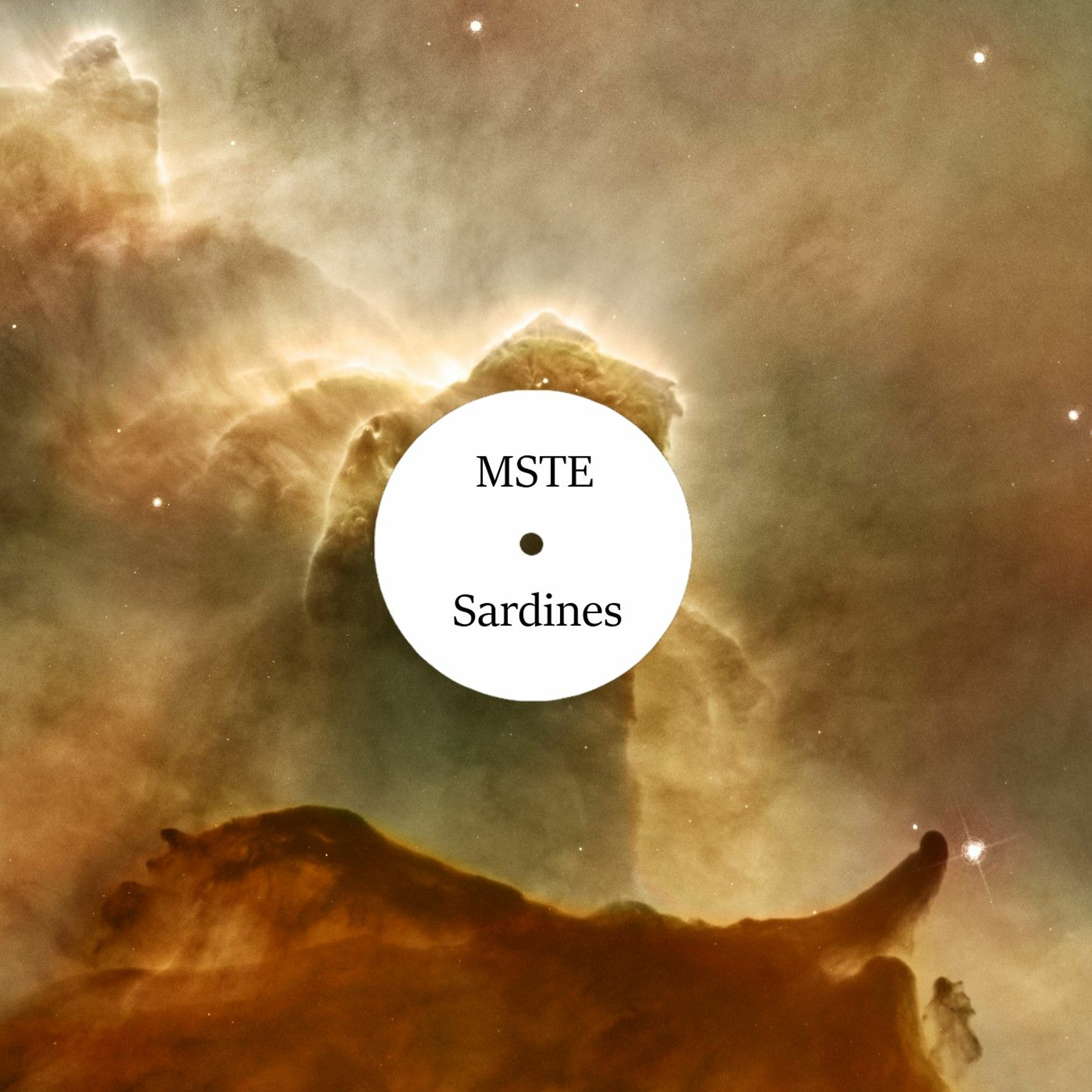 MSTE