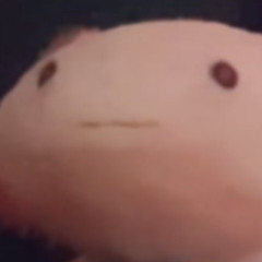 (/NGL/)(ft.Young Peaunut/young gluten)