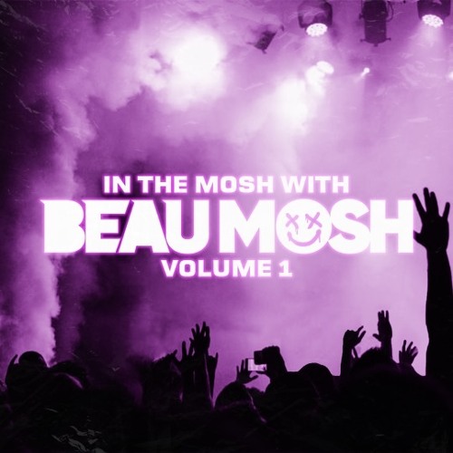 In The Mosh W: Beau Mosh - Vol. 1 Mashup Pack