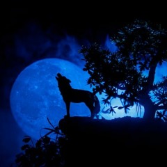 ''WOLVES'' - (prod. pedrorodriguez)