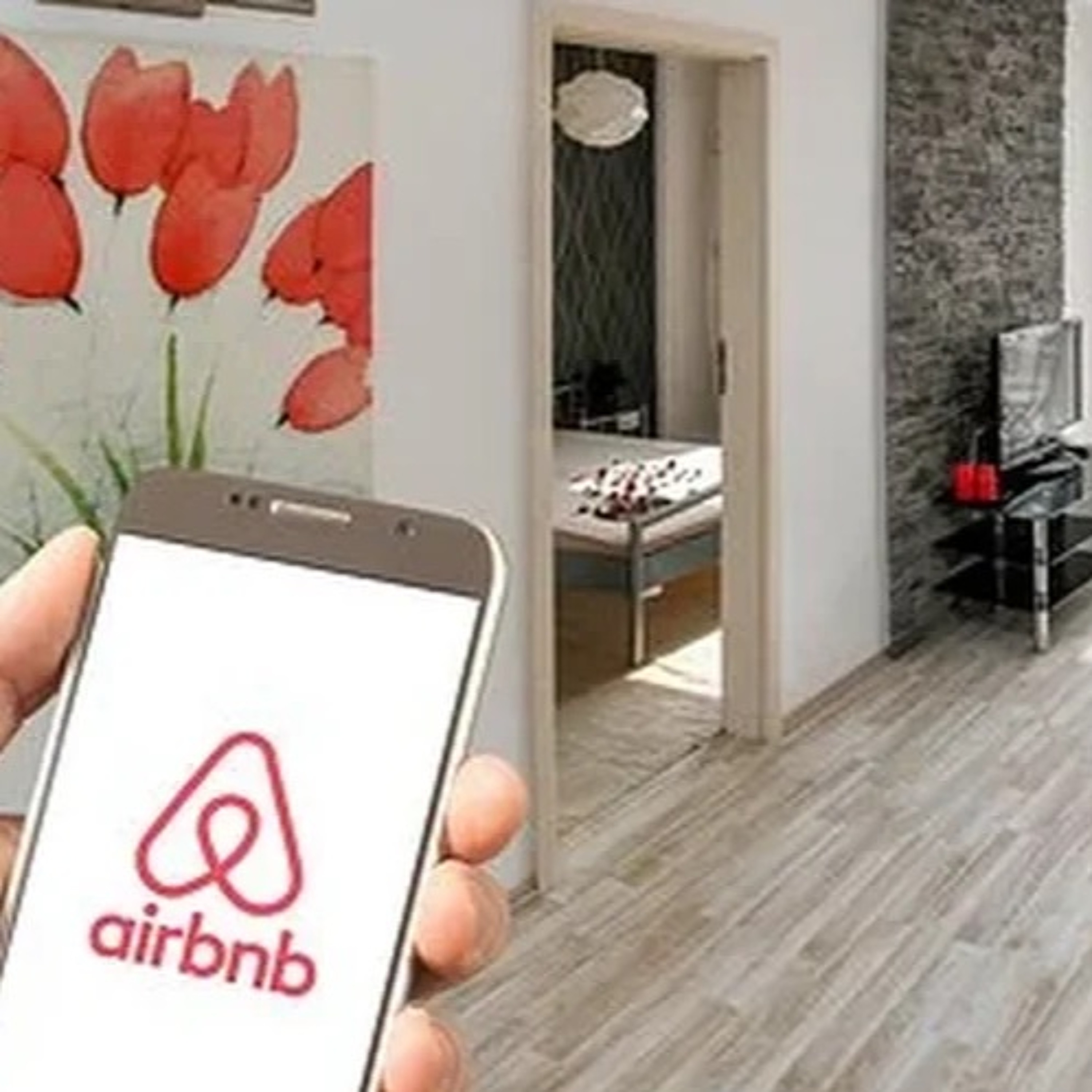 immobilier-company