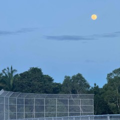 One Pakelik by Lisa Sandei