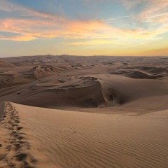 the voice of the desert