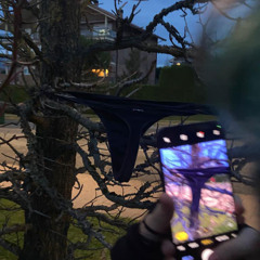 me dijo que se llamaba amagoia pero no amaba a goya