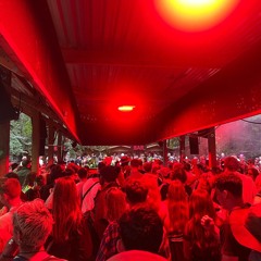 DAVE HARVEY  - EARTHLING  @ HOUGHTON FESTIVAL 2023