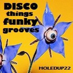 DISCO THINGS FUNKY GROOVES
