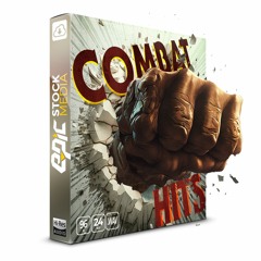 Combat Hits - Hand To Hand Fighting SFX
