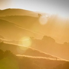 Arriving Meditation: Establishing Mindfulness and Presence