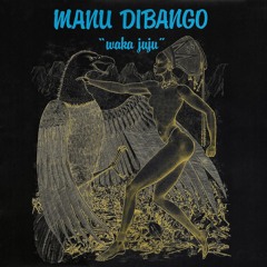 Africa Boogie