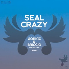 Seal - Crazy (Gorkiz & Briccio Unofficial Remix)