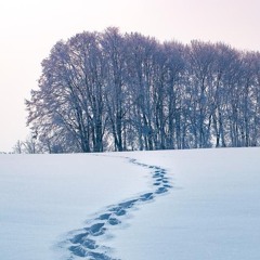 Footprints On Snow by Debussy