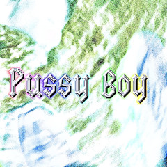 PUSSY BOY (prod. smokefusion x anh x no8) *RARE ART*