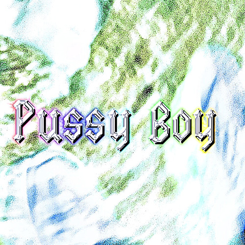 PUSSY BOY (prod. smokefusion x anh x no8) VIDEO OUT NOW