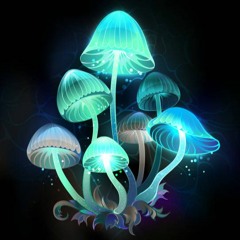 Hubii`s MushRoomMix.2 (1.04.2022) PSY