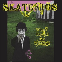 Skatenigs - What Could Go Wrong? (Noistruct Remix)