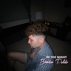 In The Night - Brandon Pulido