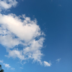 Into the sky! pro. by @chxsebank