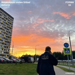 FORMA55: Silbad