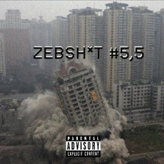 Zebsh*t #5,5