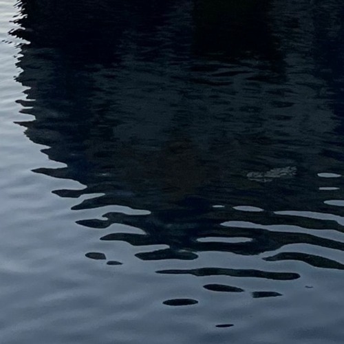 The Still River of Forgetting