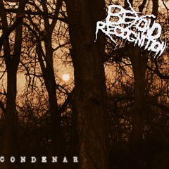 Beyond Recognition - Condenar