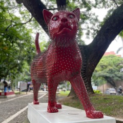 Gata Gachuza