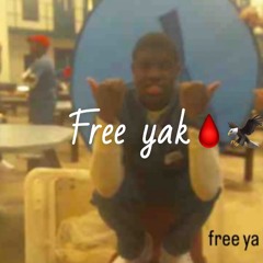 Yak flow #FREEYAK Ft TMCT4