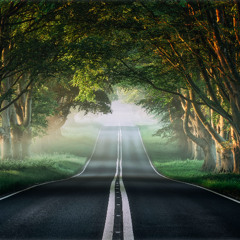 A Trip Through The Forbidden Forest