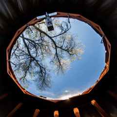 Black Cadillac/Prophecy 12.7