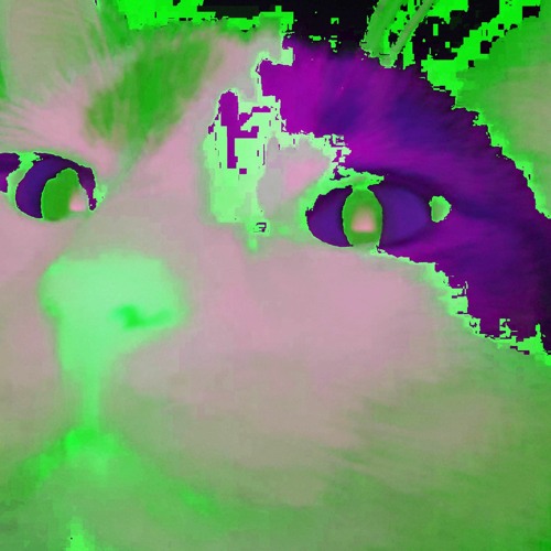 THE CIA I$ PUTTING MICRXPHXNE$ IN CAT$ (LYR4)