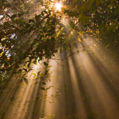 Go Away [Prod. sogroovy]