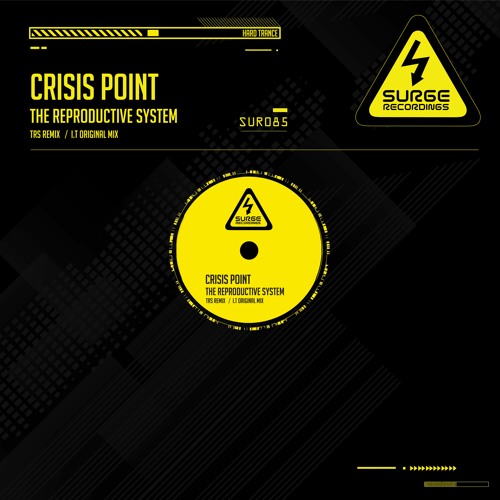 (P) SUR085 - 1 The Reproductive System- Crisis Point (TRS RMX)