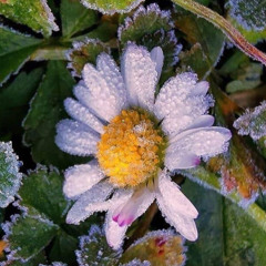 XUẤT NGŨ 2025 OKNA