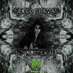 Necro Shaman Artist 420