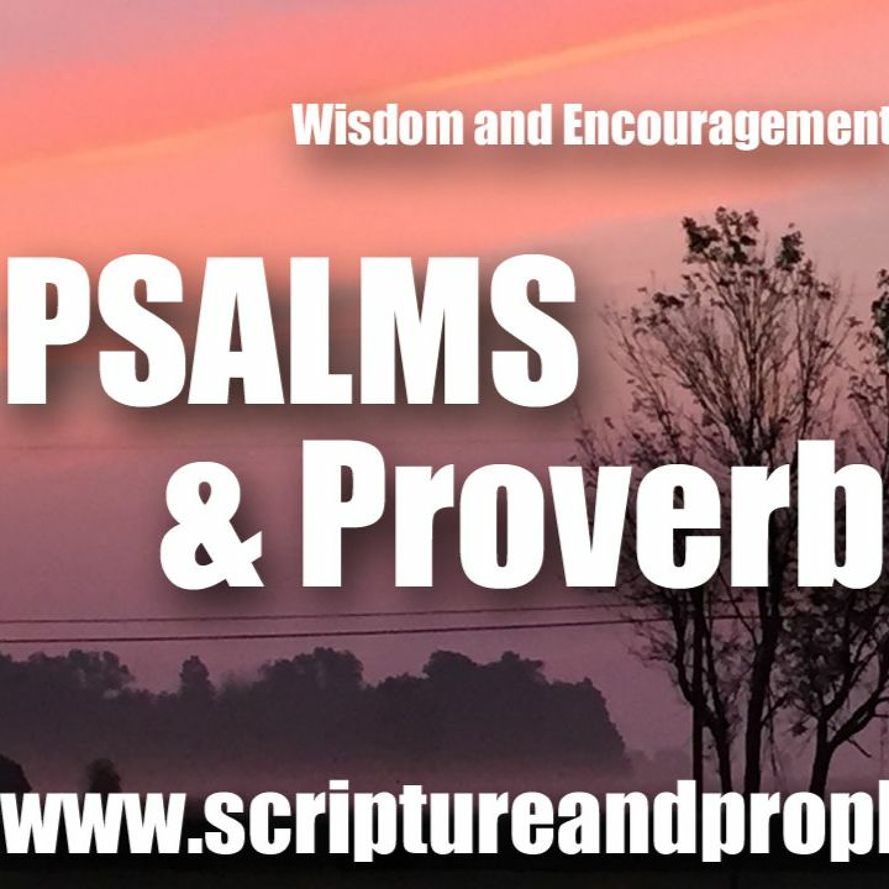 Wisdom From Psalm 9, Proverbs 14, & Wisdom 8: True Wisdom Only Comes From God