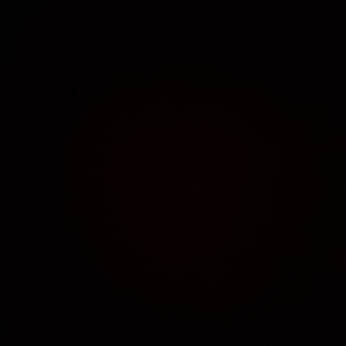 寻梦 - 起风了 (DJ抖音版 2025)